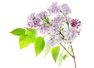 《战地2042》Xbox正式版仅有22把武器